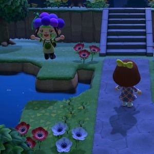 Meet your Posher, Josie